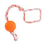 Foto-do-produto-Brinquedo-Caes-LCM-Borracha-Push-Dog-Ball-500mm-no-petshop-online-da-Tudo-de-Bicho