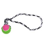 Foto-do-produto-Brinquedo-Caes-LCM-Borracha-Push-Dog-Ball-B-470mm-no-petshop-online-da-Tudo-de-Bicho