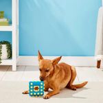 Foto-do-produto-Brinquedo-Interativo-Caes-Kong-Dotz-Square-Large-no-petshop-online-da-Tudo-de-Bicho