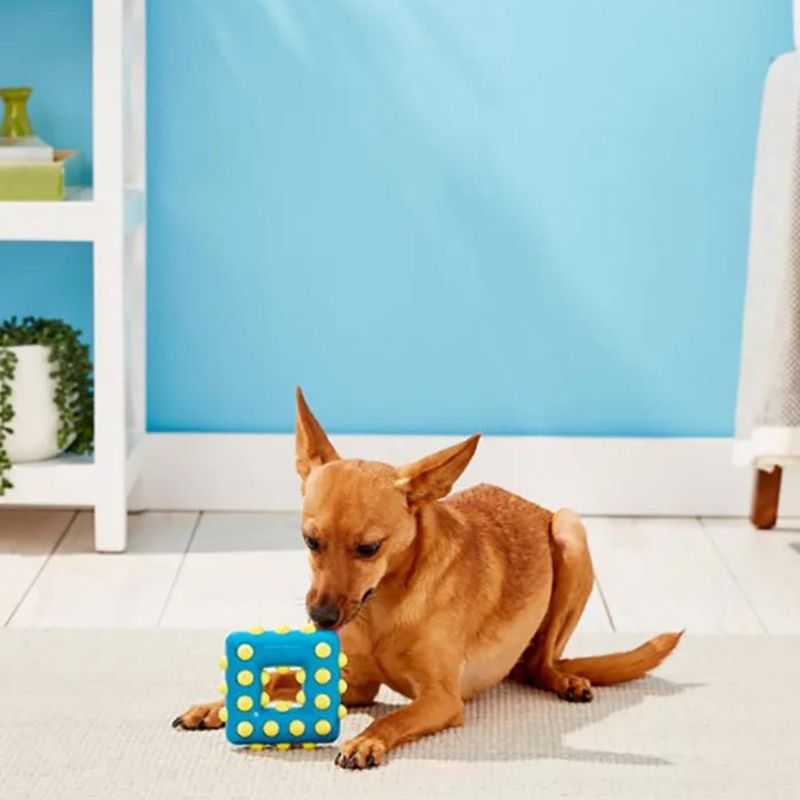 Foto-do-produto-Brinquedo-Interativo-Caes-Kong-Dotz-Square-Large-no-petshop-online-da-Tudo-de-Bicho