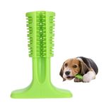 Foto-do-produto-Escova-de-Dente-Para-Caes-Verde-Petlon-M-no-petshop-online-da-Tudo-de-Bicho