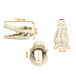 Foto-do-produto-Enfeite-de-Resina-Esqueleto-Cabeca-de-Crocodilo-Soma-Pequeno-no-petshop-online-da-Tudo-de-Bicho
