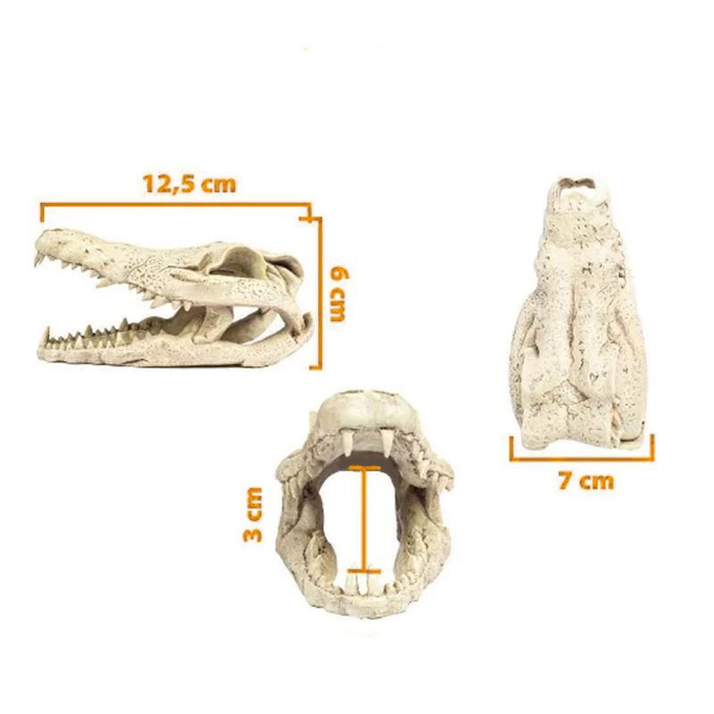 Foto-do-produto-Enfeite-de-Resina-Esqueleto-Cabeca-de-Crocodilo-Soma-Pequeno-no-petshop-online-da-Tudo-de-Bicho