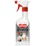 Foto-do-produto-Banho-a-Seco-BelloGatto-Spray-250ml-no-petshop-online-da-Tudo-de-Bicho