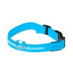 Foto-do-produto-Coleira-Com-Led-Caes-The-Pets-Colors-Media-no-petshop-online-da-Tudo-de-Bicho