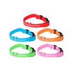 Foto-do-produto-Coleira-Com-Led-Caes-The-Pets-Colors-Media-no-petshop-online-da-Tudo-de-Bicho