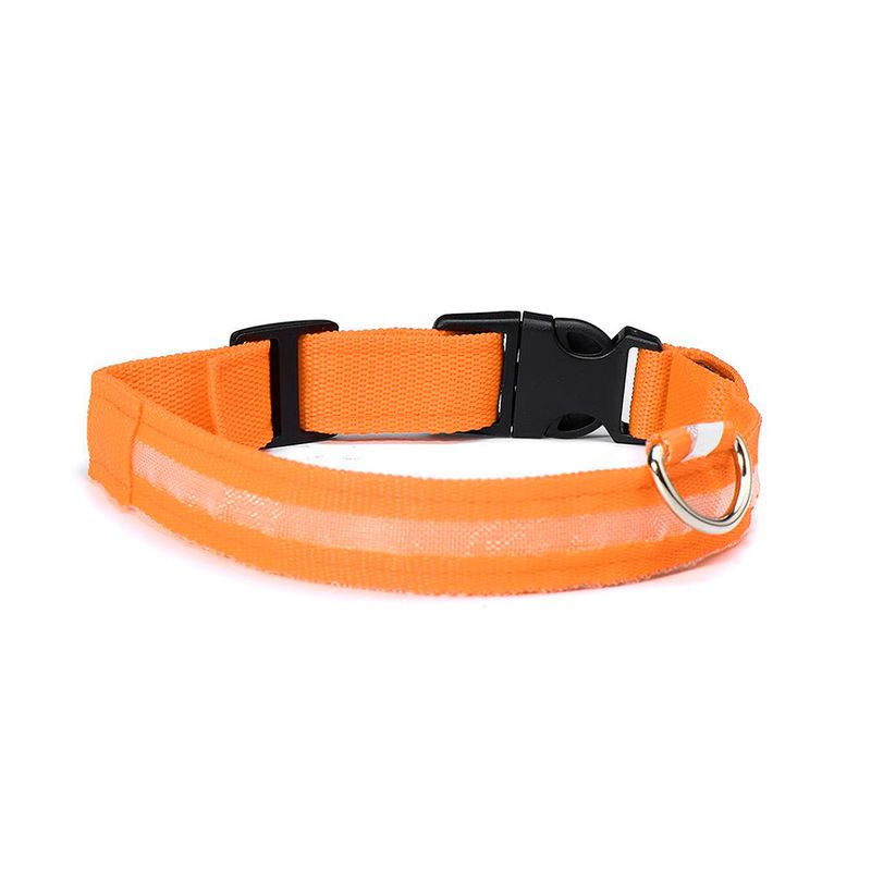 Foto-do-produto-Coleira-Com-Led-Caes-The-Pets-Colors-Media-no-petshop-online-da-Tudo-de-Bicho