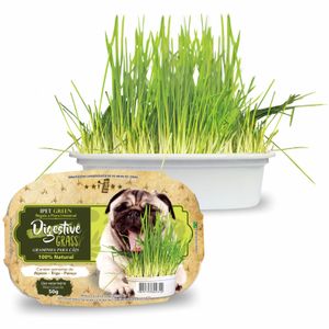 Graminha para Cães Green Digestive Grass Ipet