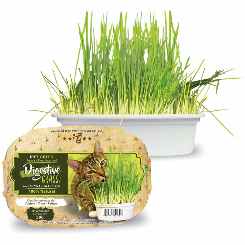 Foto-do-produto-Graminha-para-Gatos-Green-Digestive-Grass-Ipet-50g-no-petshop-online-da-Tudo-de-Bicho