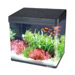 Foto-do-produto-Aquario-Curvo-Boyu-Ms320-20L-Preto-110V-no-petshop-online-da-Tudo-de-Bicho