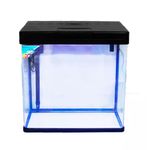 Foto-do-produto-Aquario-Curvo-Boyu-Ms420-31L-Preto-110V-no-petshop-online-da-Tudo-de-Bicho