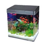 Foto-do-produto-Aquario-Curvo-Boyu-Ms420-31L-Preto-110V-no-petshop-online-da-Tudo-de-Bicho