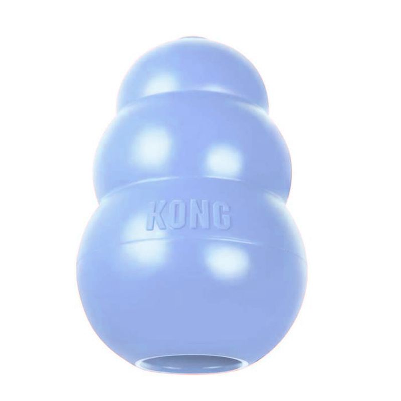 Foto-do-produto-Brinquedo-Interativo-Caes-Kong-Puppy-Azul-xSmall-Kp4--no-petshop-online-da-Tudo-de-Bicho