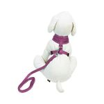 Foto-do-produto-Guia-e-Peitoral-Caes-American-Pets-Confort-Rosa-Tamanho-M-no-petshop-online-da-Tudo-de-Bicho