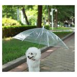 Foto-do-produto-Guarda-Chuva-Transparente-para-Caes-The-Pets-Brasil-no-petshop-online-da-Tudo-de-Bicho