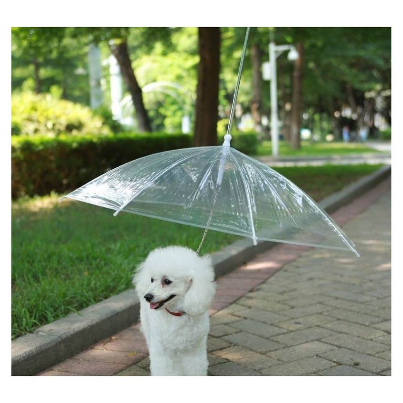 Foto-do-produto-Guarda-Chuva-Transparente-para-Caes-The-Pets-Brasil-no-petshop-online-da-Tudo-de-Bicho