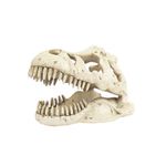 Foto-do-produto-Enfeite-de-Resina-Esqueleto-Cabeca-de-Tiranossauro-Rex-Soma-Pequeno-no-petshop-online-da-Tudo-de-Bicho