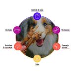 Foto-do-produto-Snack-Para-Caes-Good-Lovin-Focinho-Suino-4-Unidades-no-petshop-online-da-Tudo-de-Bicho
