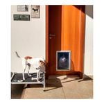 Foto-do-produto-Porta-De-Passagem-Buddy-Toys-Grande-no-petshop-online-da-Tudo-de-Bicho