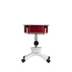 Foto-do-produto-Comedouro-Para-Caes-NF-Pet-Antiformiga-Vermelho-Pequeno-15L-no-petshop-online-da-Tudo-de-Bicho