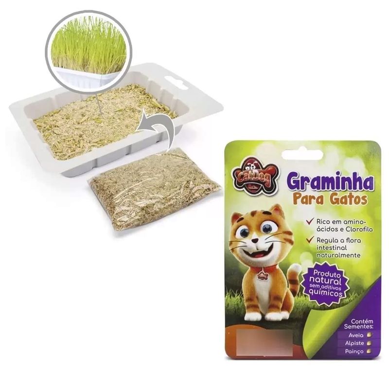 Foto-do-produto-Graminha-Para-Gatos-Sao-Pet-50g-no-petshop-online-da-Tudo-de-Bicho