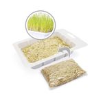 Foto-do-produto-Graminha-Para-Gatos-Sao-Pet-50g-no-petshop-online-da-Tudo-de-Bicho
