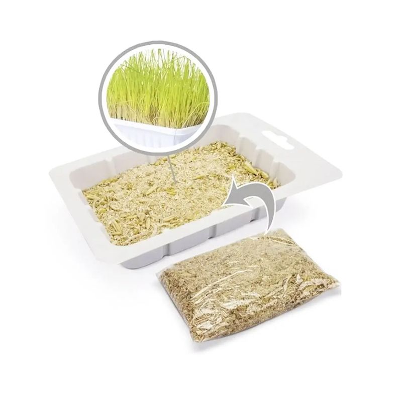 Foto-do-produto-Graminha-Para-Gatos-Sao-Pet-50g-no-petshop-online-da-Tudo-de-Bicho
