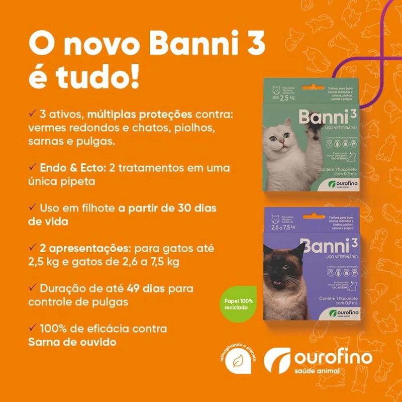 jogos para gatos - Compre jogos para gatos com envio grátis no