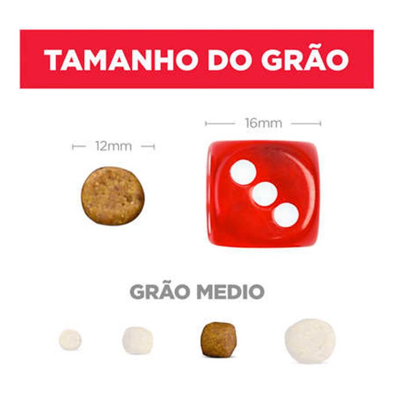 Foto-do-produto-Racao-Hill-s-Science-Diet-Caes-Adultos-7--6kg-no-petshop-online-da-Tudo-de-Bicho