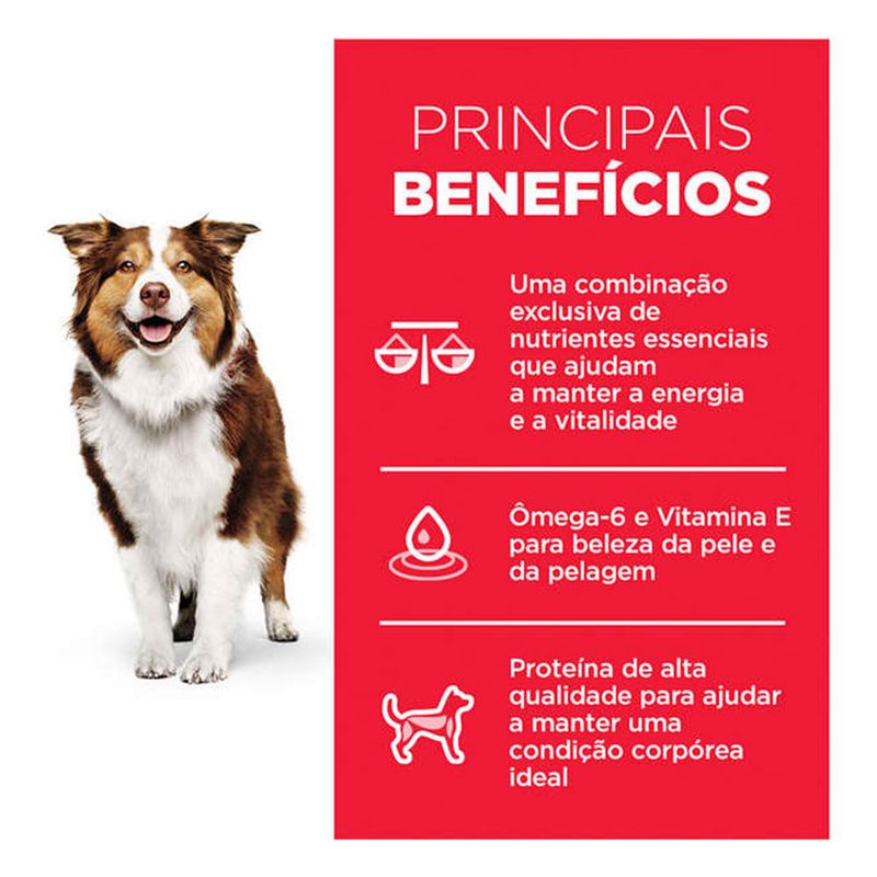 Foto-do-produto-Racao-Hill-s-Science-Diet-Caes-Adultos-7--6kg-no-petshop-online-da-Tudo-de-Bicho