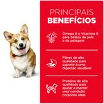 banner_107220.jpg