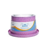 Foto-do-produto-Comedouro-Para-Gatos-NF-Pet-Antiformiga-Mr.Bigode-Rosa-250ml-no-petshop-online-da-Tudo-de-Bicho