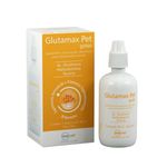 Foto-do-produto-Suplemento-Glutamax-Inovet-para-Caes-e-Gatos-40ml-no-petshop-online-da-Tudo-de-Bicho