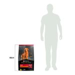 Foto-do-produto-Racao-Nestle-Purina-Caes-Pro-Plan-Adultos-Racas-Medias-15kg-no-pet-shop-online-da-Tudo-de-Bicho