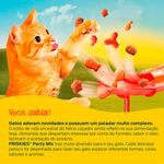 Foto-do-produto-Petiscos-Nestle-Purina-Gatos-Friskies-Carne-40g-no-pet-shop-online-da-Tudo-de-Bicho