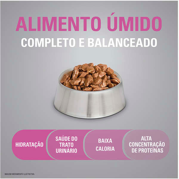 Foto-do-produto-Racao-Umida-Optimum-Gatos-Filhotes-Frango-Sache-85Gr-no-pet-shop-online-da-Tudo-de-Bicho