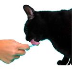 Foto-do-produto-Pure-Churu-Petisco-Cremoso-para-Gatos-Galinha-com-Camarao-56g-no-pet-shop-online-da-Tudo-de-Bicho