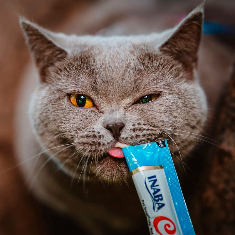 Foto-do-produto-Pure-Churu-Petisco-Cremoso-para-Gatos-Galinha-com-Camarao-56g-no-pet-shop-online-da-Tudo-de-Bicho