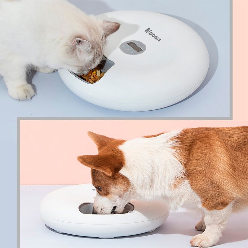 Foto-do-produto-Alimentador-Automatico-Pet-Dogis-Lite-no-pet-shop-online-da-Tudo-de-Bicho