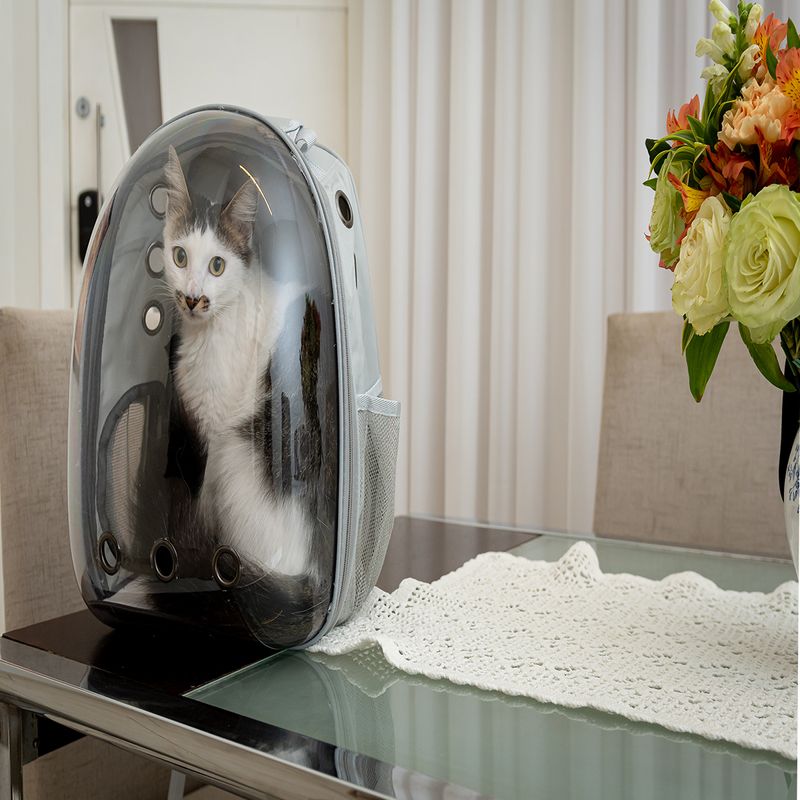 Foto-do-produto-Mochila-Capsula-Tutelo-no-pet-shop-online-da-Tudo-de-Bicho