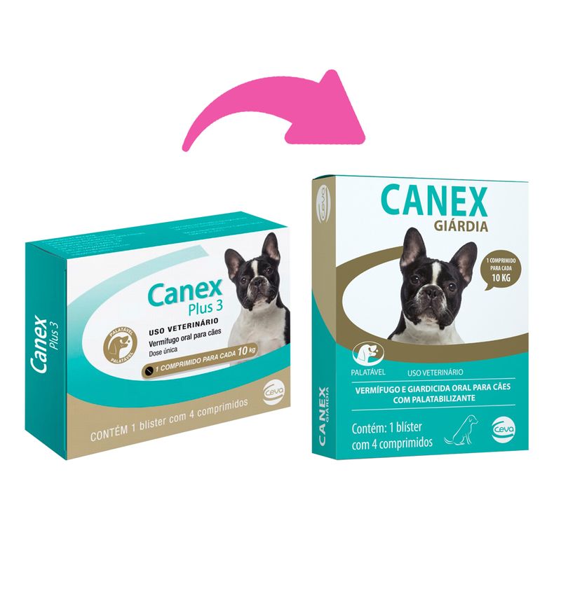 Foto-do-produto-Vermifugo-Canex-Giardia-para-Caes-no-pet-shop-online-da-Tudo-de-Bicho