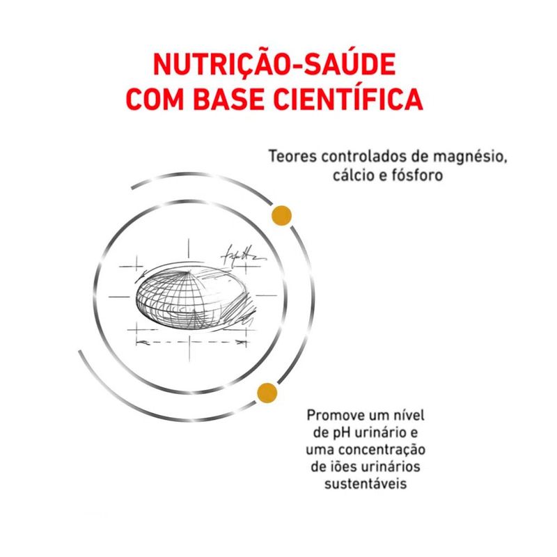 Foto-do-produto-Racao-Gatos-Royal-Canin-Veterinary-Urinary-S-O-500g-no-petshop-online-da-Tudo-de-Bicho