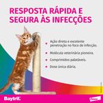 Foto-do-produto-Antibiotico-Baytril-Flavour-Caes-Bayer-150mg-no-petshop-online-da-Tudo-de-Bicho