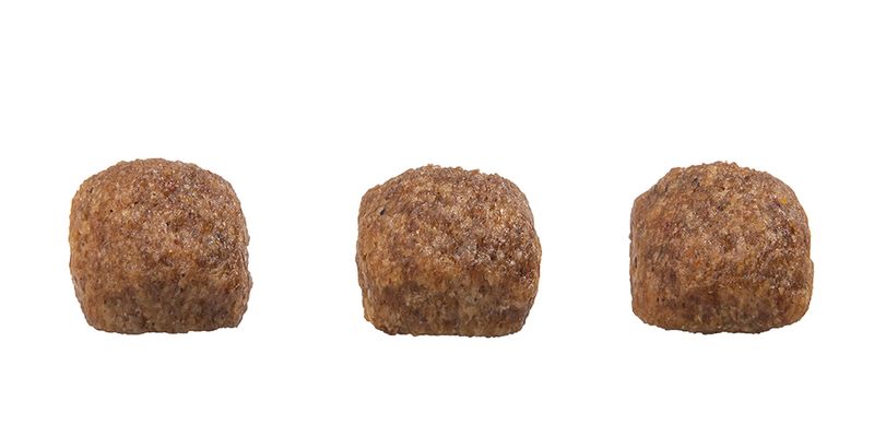 Foto-do-produto-Racao-Gran-Plus-Gourmet-Caes-Filhotes-Porte-Medio-e-Grande-Ovelha-e-Arroz-3kg-no-pet-shop-online-da-Tudo-de-Bicho