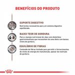 Foto-do-produto-Racao-para-Caes-Canin-Veterinary-Intestinal-Low-Fat-Lata-420g-no-pet-shop-online-da-Tudo-de-Bicho