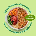 Foto-do-produto-Racao-Umida-Pet-Delicia-Natural-Gatos-Escondidinho-Suino-320g-no-pet-shop-online-da-Tudo-de-Bicho