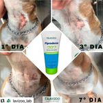 Foto-do-produto-Hidratante-para-Caes-e-Gatos-Fiproderm-Lavizoo-50g-no-pet-shop-online-da-Tudo-de-Bicho