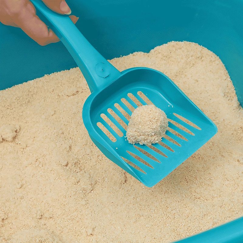 Foto-do-produto-Areia-Higienica-para-Gatos-Bob-Esconde-2kg-no-pet-shop-online-da-Tudo-de-Bicho