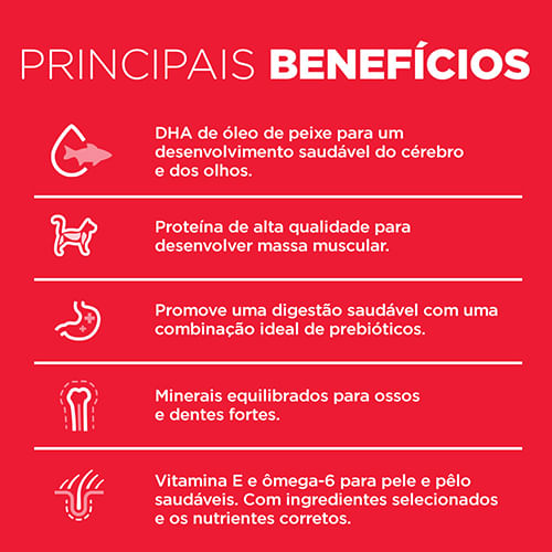 Foto-do-produto-Racao-Hill-s-Science-Diet-Gatos-Filhotes-317kg-no-pet-shop-online-da-Tudo-de-Bicho