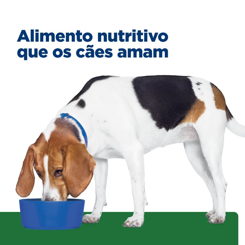 Foto-do-produto-Racao-Hill-s-Prescription-Diet-Caes-R-D-Obesidade-798kg-no-pet-shop-online-da-Tudo-de-Bicho